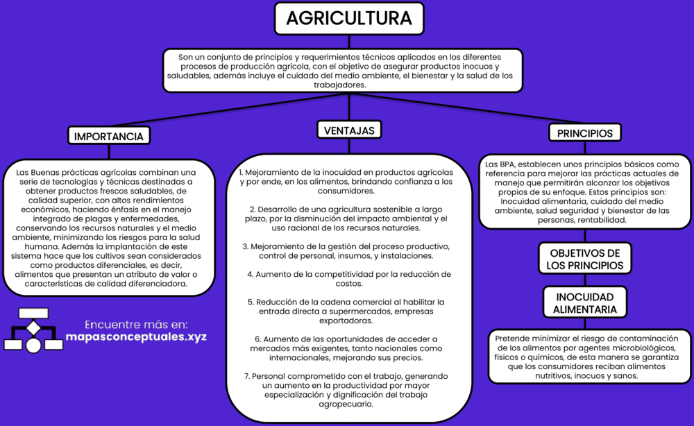 Mapas conceptuales de la Agricultura 【Descargar】