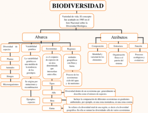 Mapa conceptual de la Biodiversidad 2