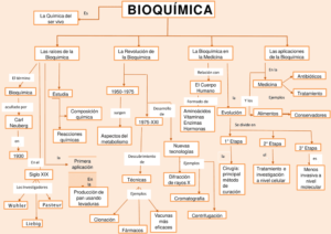Mapa conceptual de la Bioquímica 2