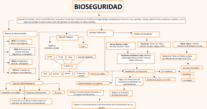 Mapa conceptual de la Bioseguridad 3