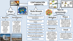 Mapa conceptual de la Contaminación Ambiental 3