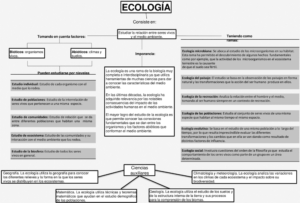 Mapa conceptual de la Ecología 2