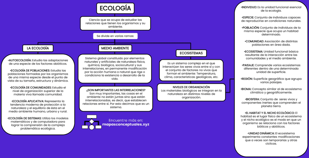 Mapa conceptual de la Ecología 2