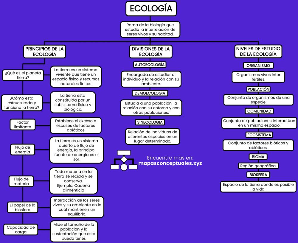 Mapa conceptual de la Ecología 3
