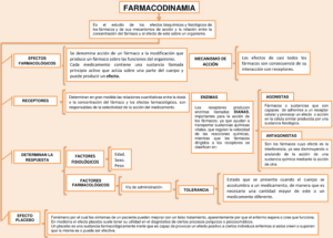 Mapa conceptual de la Farmacodinamia 2