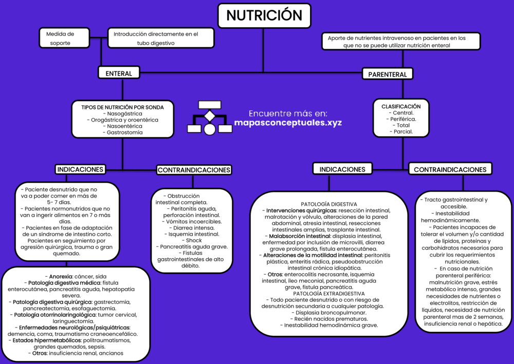 Mapa conceptual de la Nutrición 2