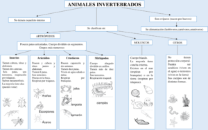 Mapa conceptual de los Animales Invertebrados