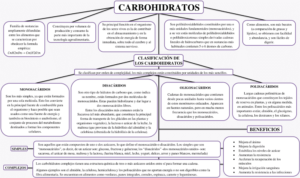 Mapa conceptual de los Carbohidratos 2