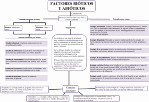 Mapa conceptual de los Factores Bióticos y Abióticos 2
