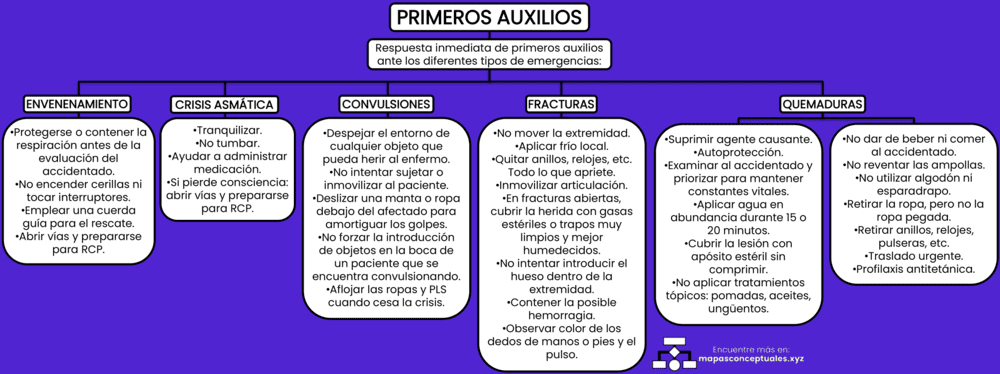 Mapa conceptual de los Primeros Auxilios 2