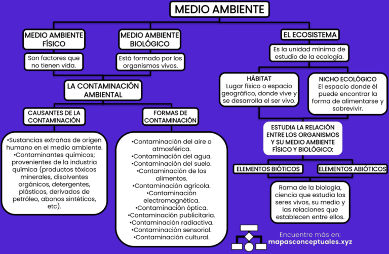 Mapas conceptuales del Medio Ambiente 【Descargar】