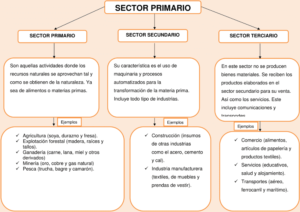 Mapa conceptual del Sector Primario